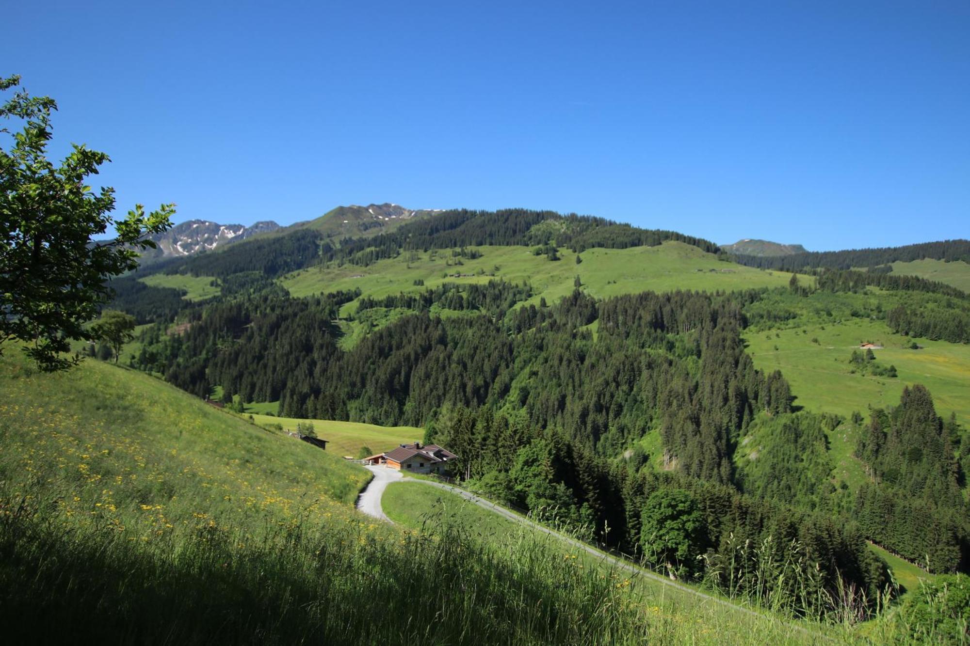 Ferienwohnung Bergpanorama Wild600 Schwarzenau  Exteriör bild